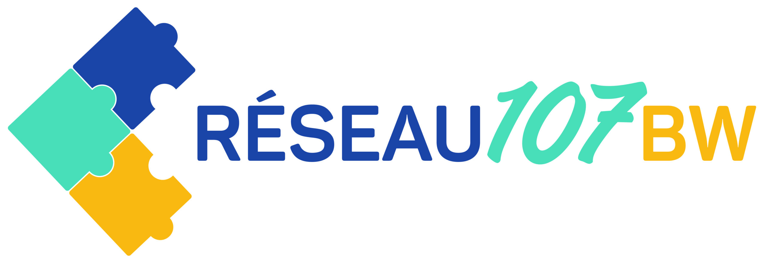 RESEAU 107 BW – logo_Plan de travail 1